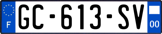 GC-613-SV