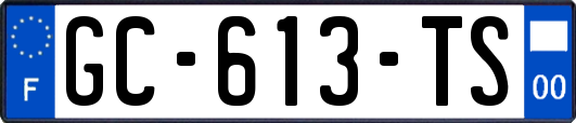 GC-613-TS