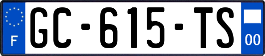 GC-615-TS