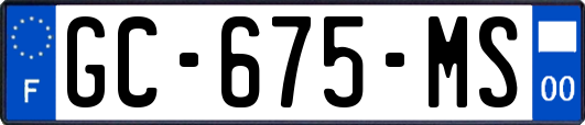 GC-675-MS