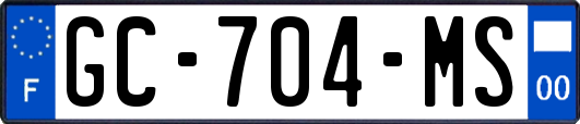 GC-704-MS