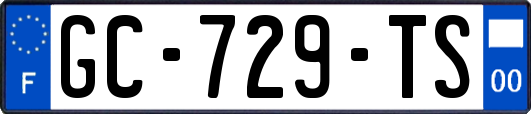 GC-729-TS