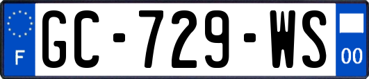 GC-729-WS