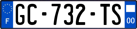 GC-732-TS