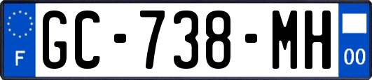 GC-738-MH