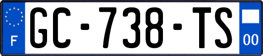 GC-738-TS