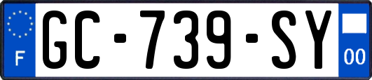 GC-739-SY