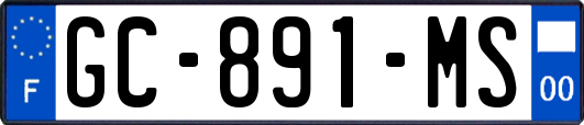 GC-891-MS