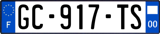 GC-917-TS