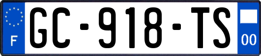 GC-918-TS