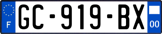 GC-919-BX