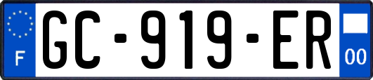 GC-919-ER