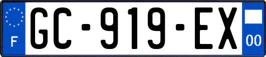 GC-919-EX