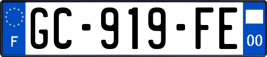 GC-919-FE
