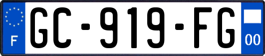 GC-919-FG