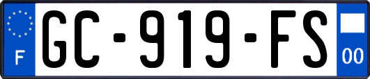 GC-919-FS