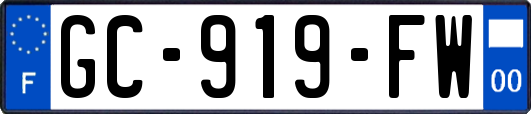 GC-919-FW