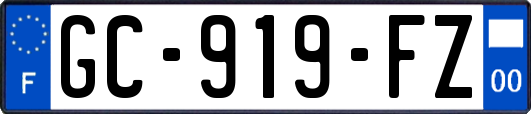 GC-919-FZ