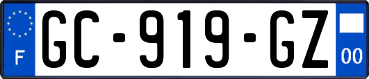 GC-919-GZ