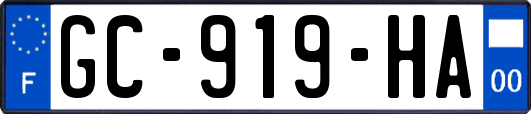 GC-919-HA