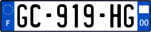 GC-919-HG