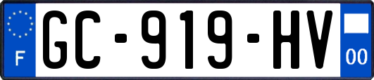GC-919-HV