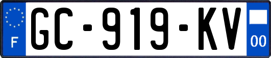 GC-919-KV