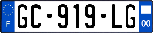 GC-919-LG