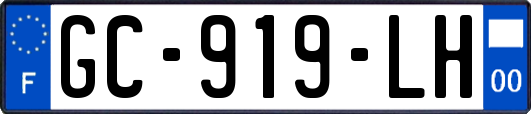 GC-919-LH