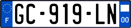 GC-919-LN