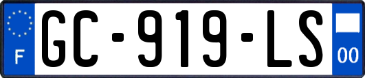 GC-919-LS