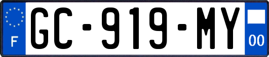 GC-919-MY