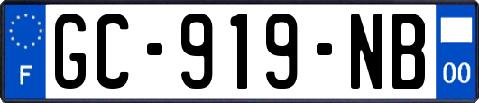 GC-919-NB