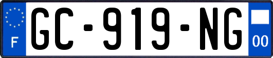 GC-919-NG