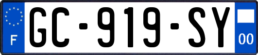 GC-919-SY