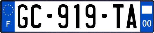 GC-919-TA