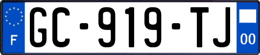 GC-919-TJ