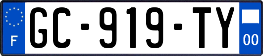 GC-919-TY