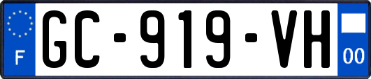 GC-919-VH
