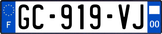 GC-919-VJ