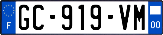 GC-919-VM