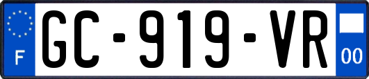 GC-919-VR