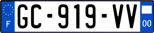 GC-919-VV