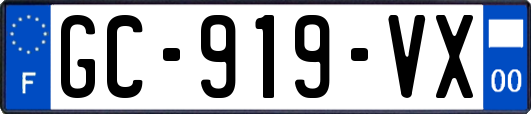 GC-919-VX