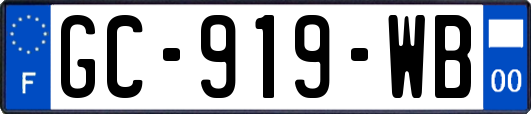 GC-919-WB