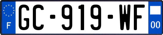 GC-919-WF