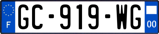 GC-919-WG