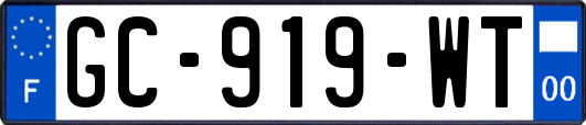 GC-919-WT