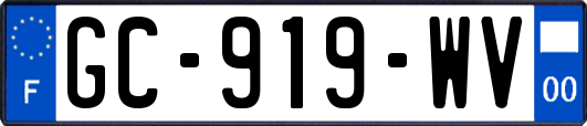 GC-919-WV