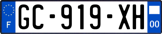GC-919-XH